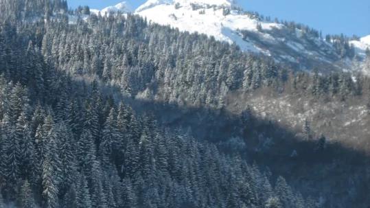 Le Domaine Montagnard by Archipel