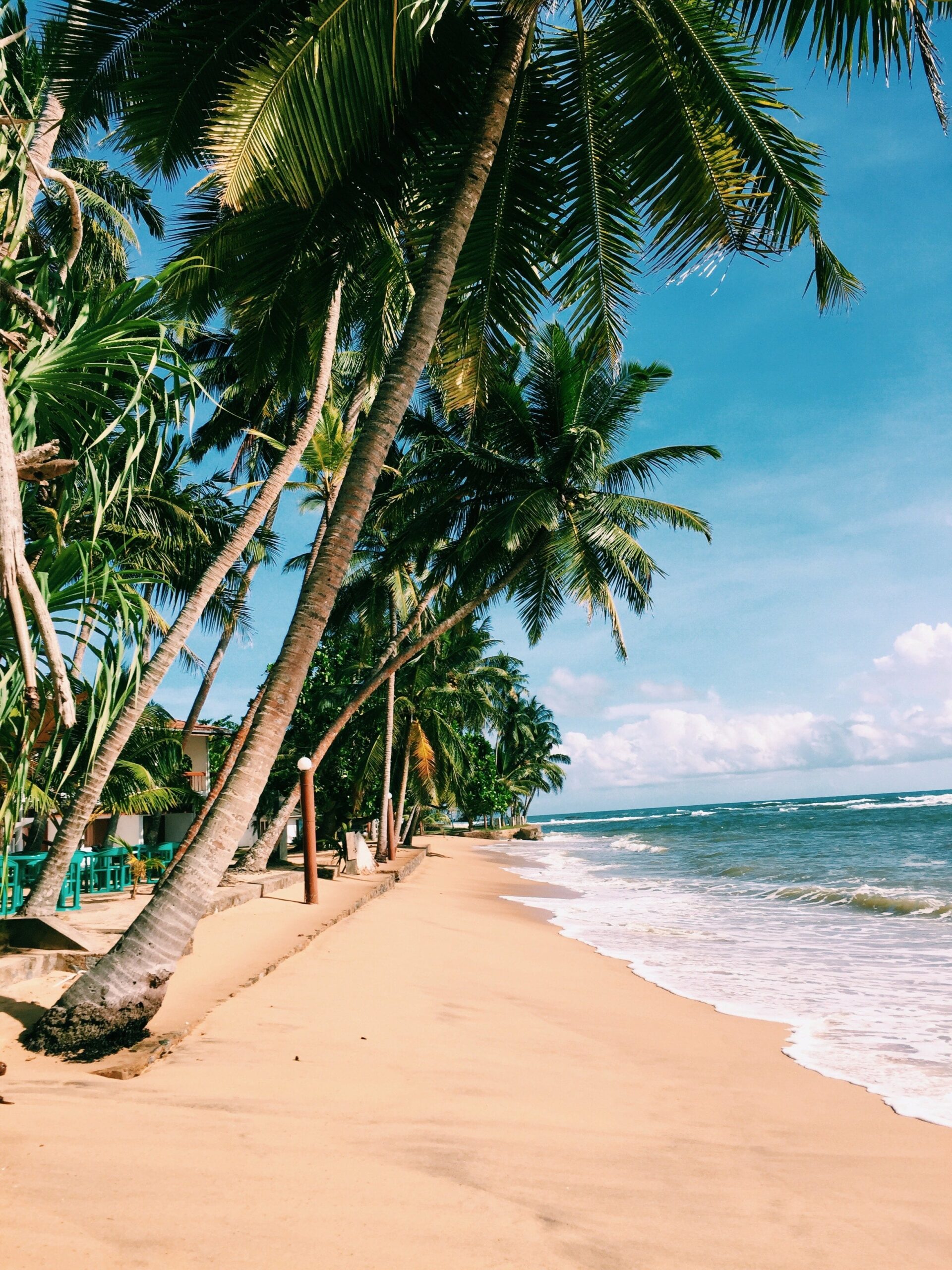 Le Domaine Guadeloupéen by Archipel