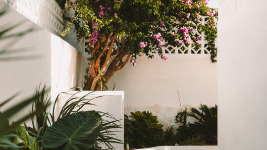 Corse-Casa-Santa-Teresa-House-Maison-Hote-Guest-House-Route-Sanguinaires-21