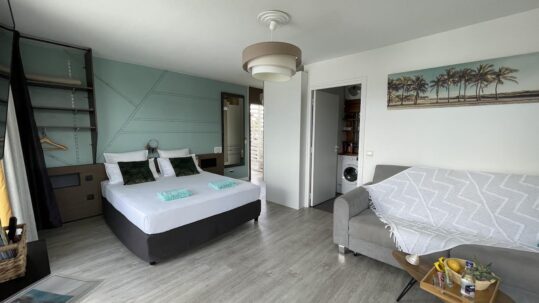 Pièce principale • Vue sur la chambre