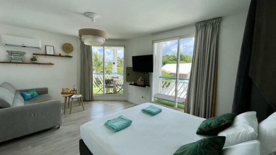 Pièce principale • Vue sur la chambre