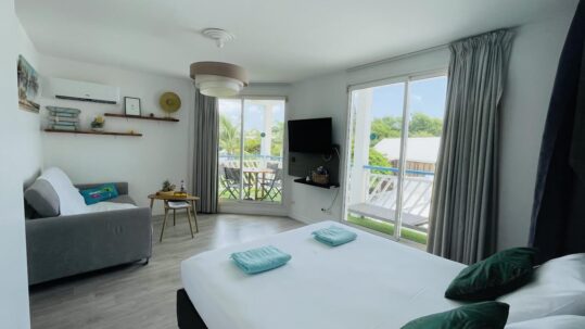 Pièce principale • Vue sur la chambre