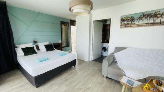 Pièce principale • Vue sur la chambre